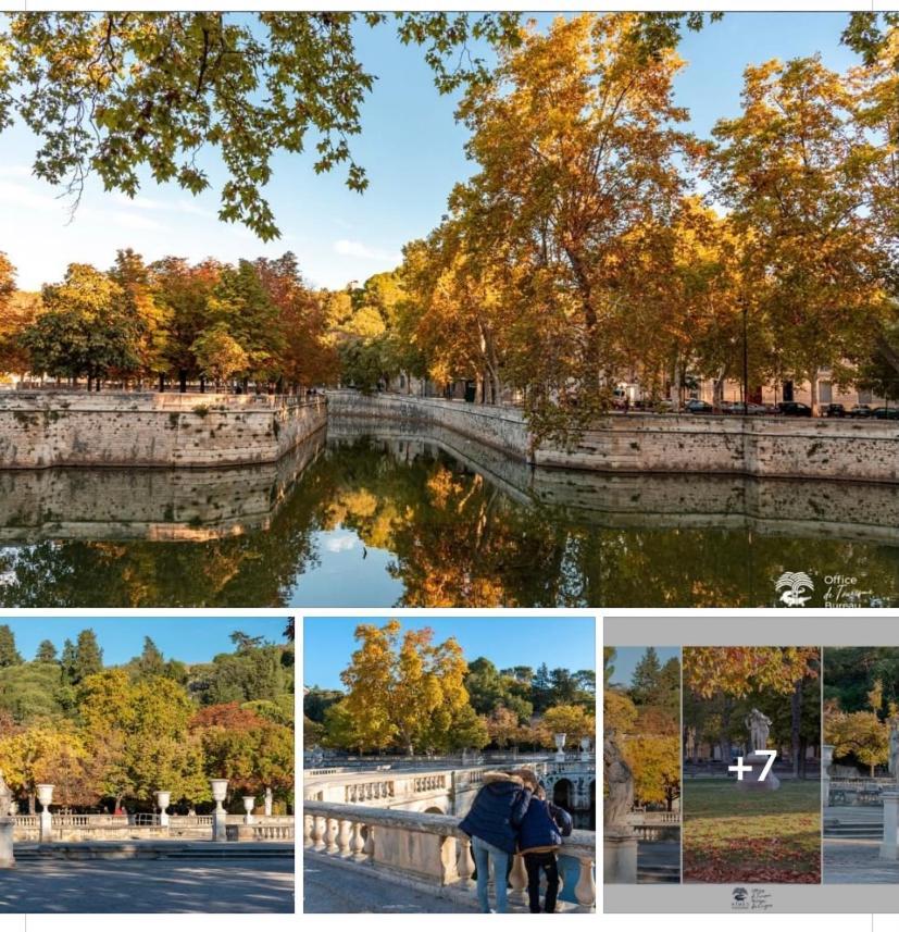 Suite Spa Acces Autonome Beaucaire  Buitenkant foto